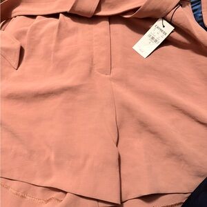 Express Blush Pink Shorts